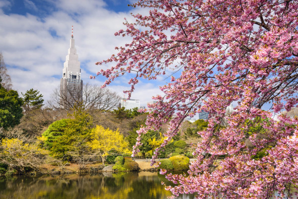 Miami to Tokyo, Japan for only $404 roundtrip (Feb-Oct dates)