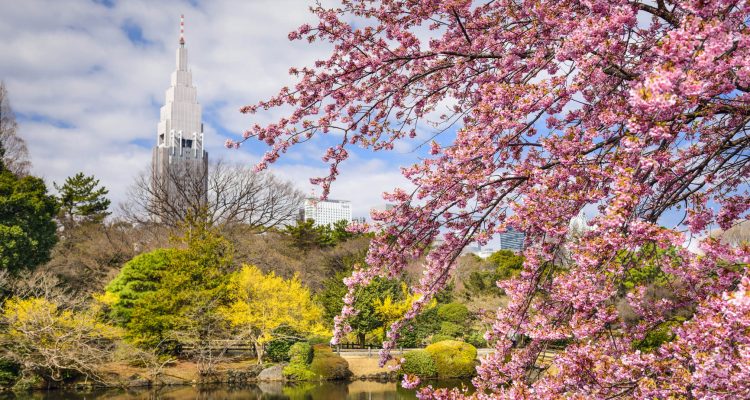 Flight deals from Detroit to Tokyo, Japan | Secret Flying