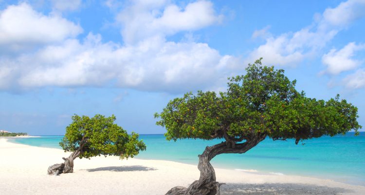 Flight deals from Minneapolis to Aruba | Secret Flying