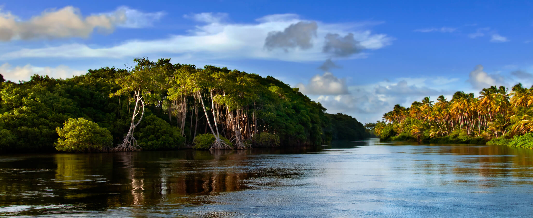 Washington DC to Trinidad for only $282 roundtrip