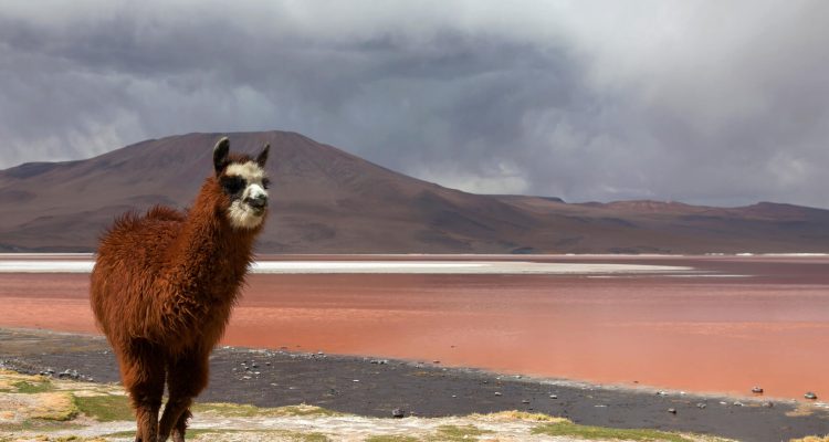 Flight deals from Eastern USA to La Paz or Santa Cruz, Bolivia | Secret Flying