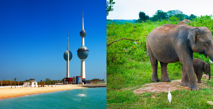 Flight deals from Rome, Italy to Sri Lanka and Kuwait | Secret Flying