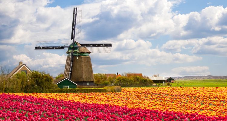 Flight deals from Cape Town, South Africa to Amsterdam, Netherlands | Secret Flying