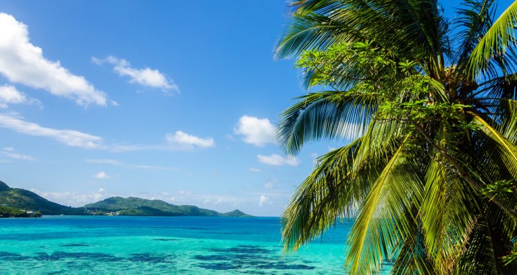 Flight deals from Tampa or New York to San Andres Island, Colombia | Secret Flying Flight deals from Tampa or New York to San Andres Island, Colombia | Secret Flying