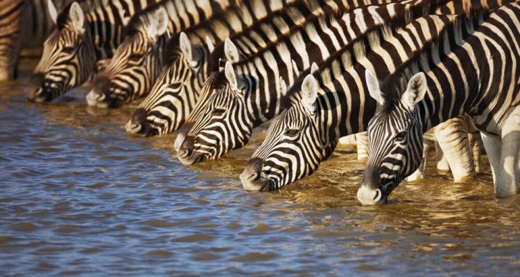 Flight deals from Budapest, Hungary to Windhoek, Namibia | Secret Flying Flight deals from Budapest, Hungary to Windhoek, Namibia | Secret Flying