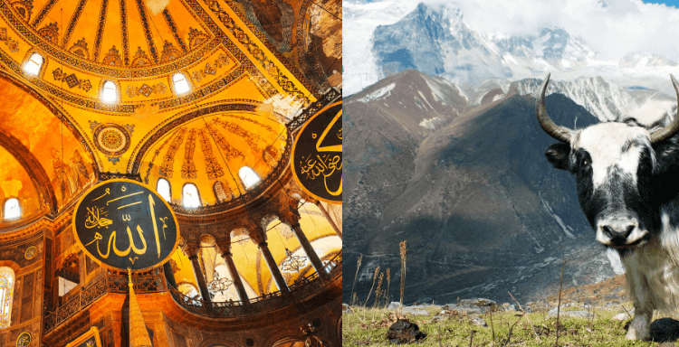 2 IN 1 TRIP: London, UK to Turkey & Nepal for only £336 roundtrip | Secret Flying
