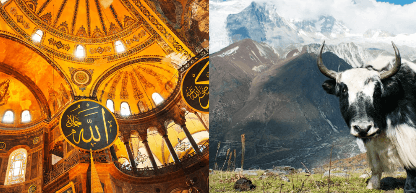 2 IN 1 TRIP: London, UK to Turkey & Nepal for only £336 roundtrip | Secret Flying