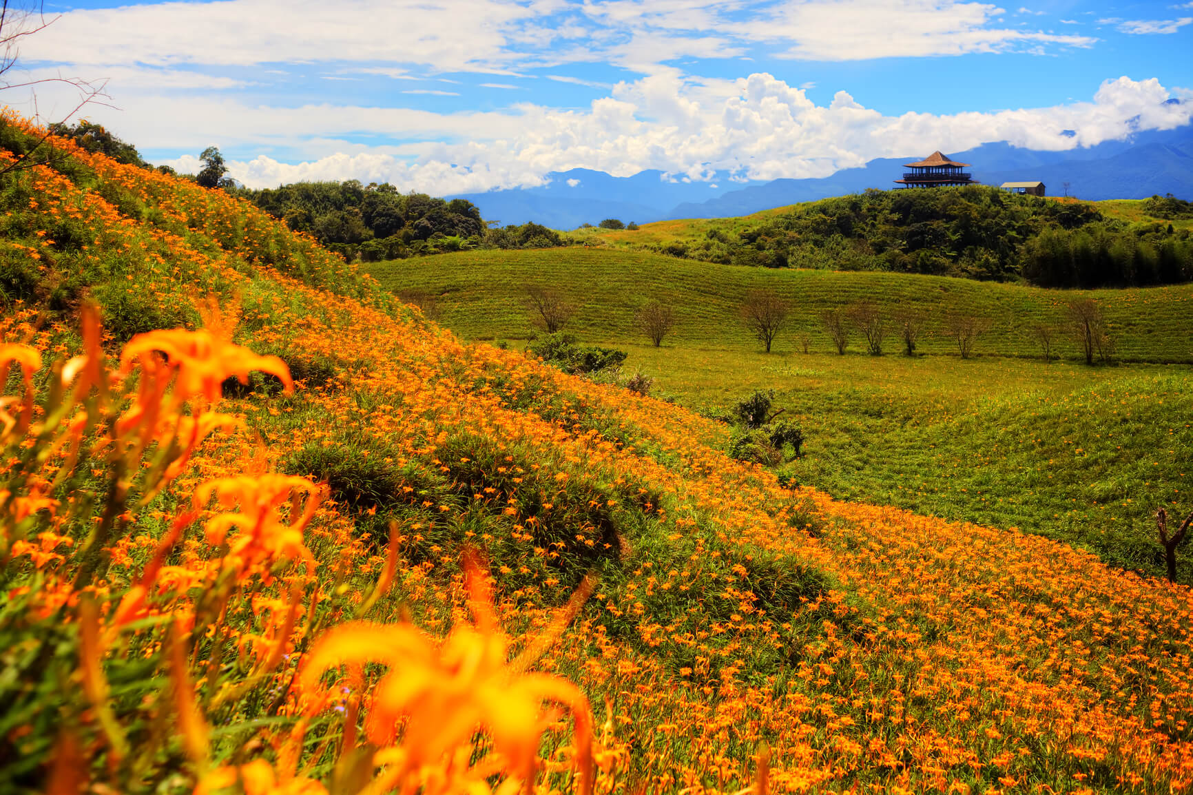 Manila, Philippines to Taipei, Taiwan (& vice versa) for only $54 USD roundtrip