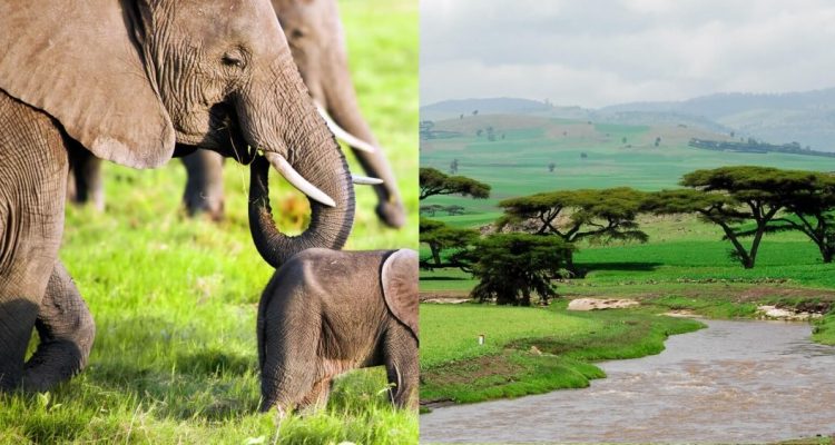 Flight deals from Stockholm, Sweden to Nairobi, Kenya, then returning from Addis Ababa, Ethiopia | Secret Flying