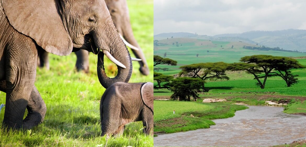 Flight deals from Stockholm, Sweden to Nairobi, Kenya, then returning from Addis Ababa, Ethiopia | Secret Flying
