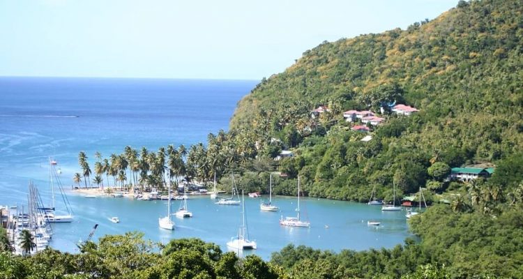 Flight deals from Toronto, Canada to St. Lucia or Barbados | Secret Flying Flight deals from Toronto, Canada to St. Lucia or Barbados | Secret Flying