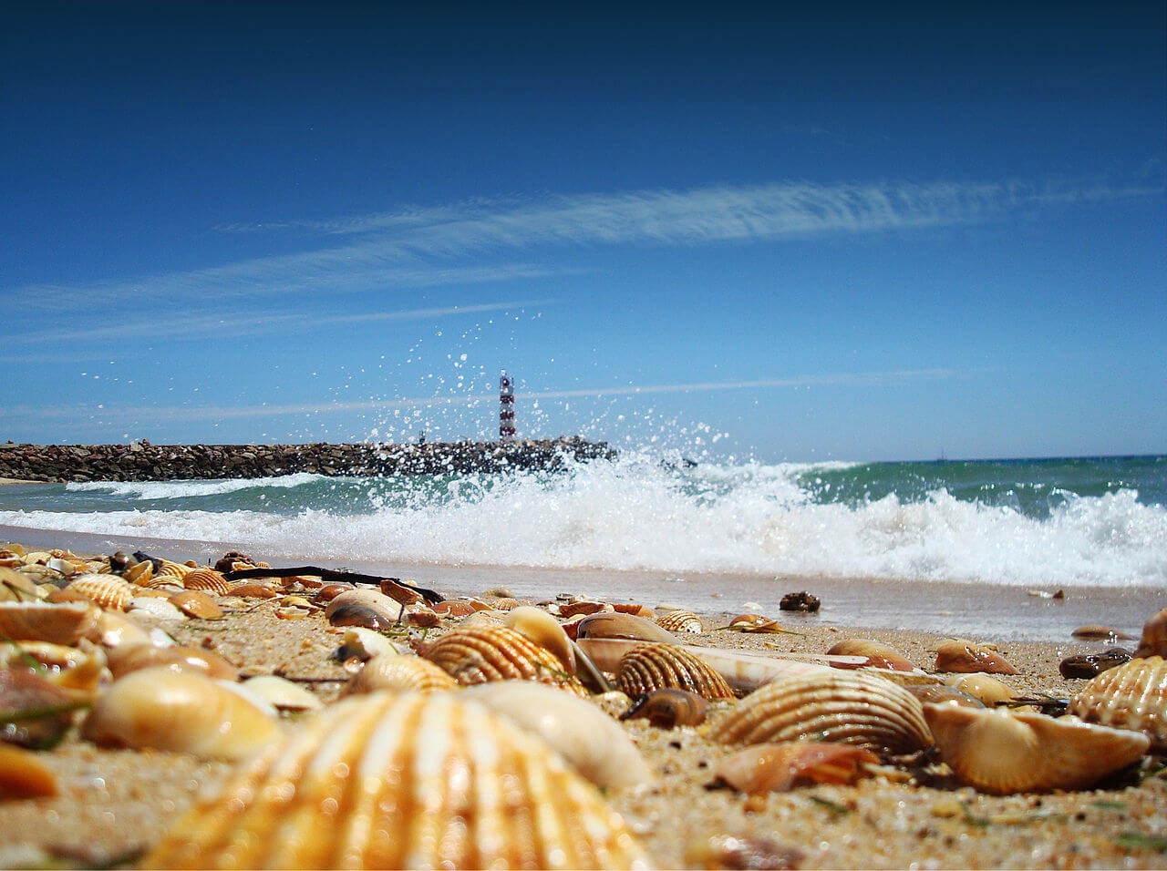Non-stop from Marrakesh, Morocco to Faro, Portugal for only $35 USD roundtrip
