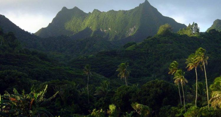 Flight deals from London, UK to the Cook Islands | Secret Flying