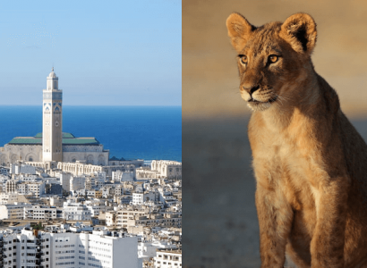 Flight deals from London, UK to both Casablanca, Morocco and Nairobi, Kenya | Secret Flying