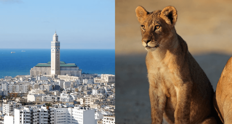 Flight deals from London, UK to both Casablanca, Morocco and Nairobi, Kenya | Secret Flying Flight deals from London, UK to both Casablanca, Morocco and Nairobi, Kenya | Secret Flying