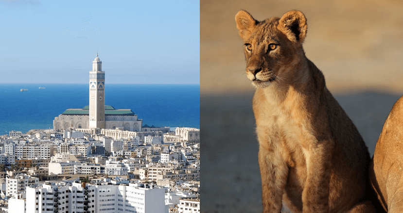 2 IN 1 TRIP: London, UK to Morocco & Kenya for only £323 roundtrip