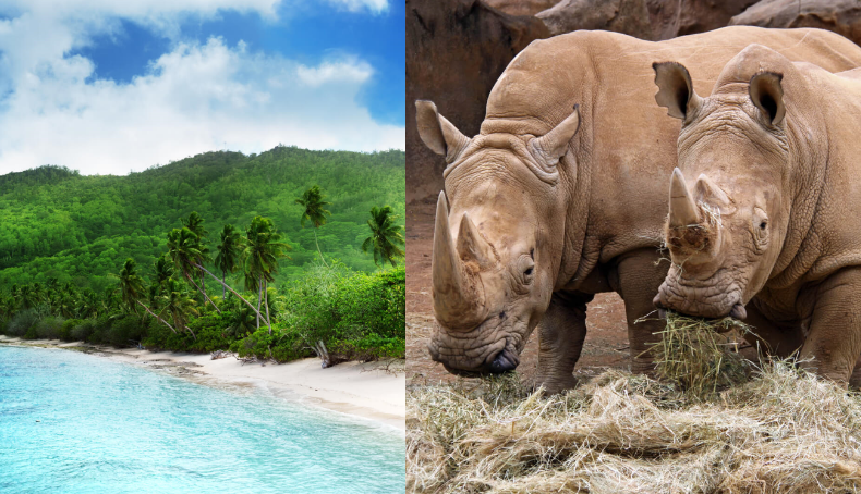 2 IN 1 TRIP: Dublin, Ireland to both the Seychelles & South Africa for only €480 roundtrip