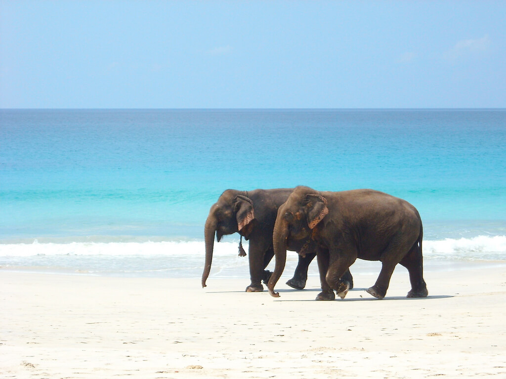 Amsterdam, Netherlands to the Andaman Islands for only €417 roundtrip