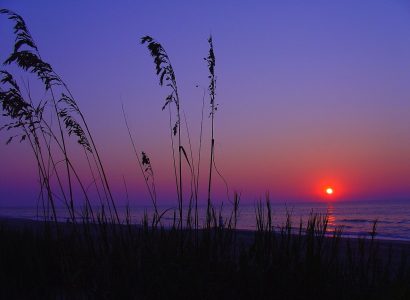 Flight deals from Dallas, Texas to Myrtle Beach, South Carolina | Secret Flying