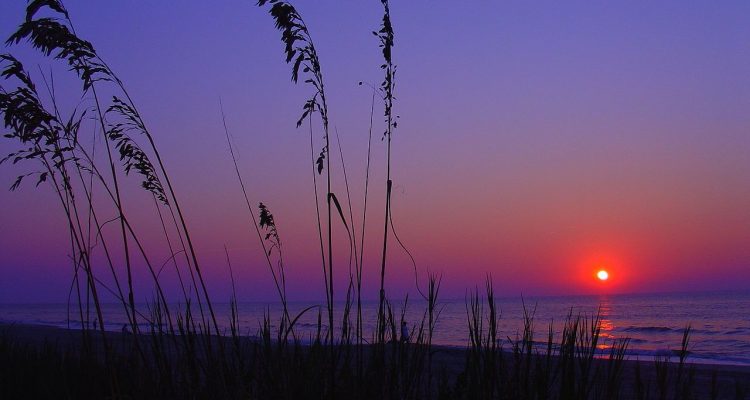 Flight deals from Philadelphia to Myrtle Beach | Secret Flying