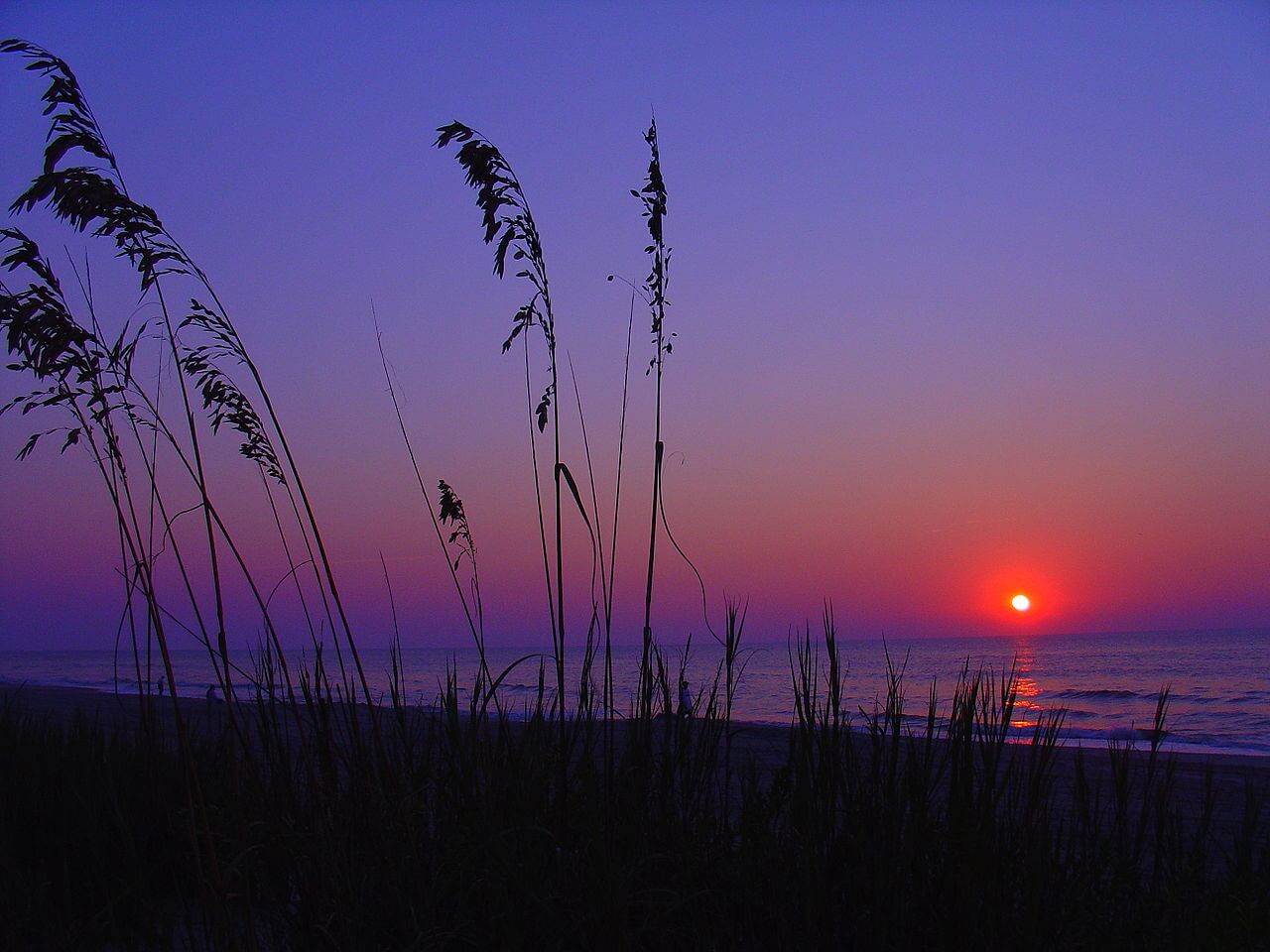 Non-stop from Dallas, Texas to Myrtle Beach, South Carolina (& vice versa) for only $71 roundtrip (Oct-Dec dates)