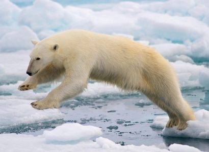 Flight deals from many European cities to the northern archipelago of Svalbard | Secret Flying