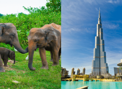 2 IN 1 TRIP: Kiev, Ukraine to Dubai, UAE & Colombo, Sri Lanka for only €377 roundtrip | Secret Flying