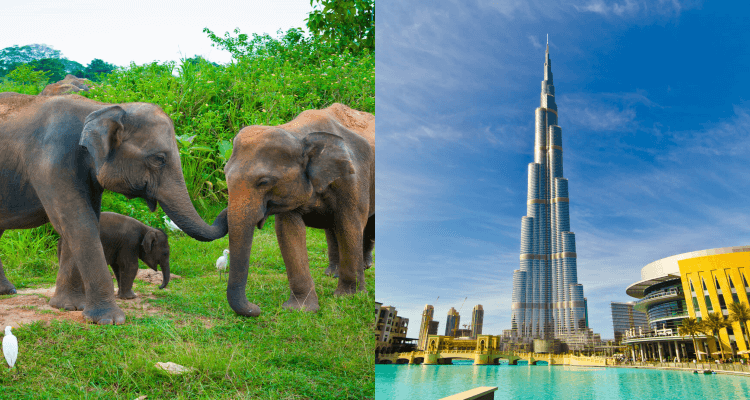 SUMMER, XMAS & NEW YEAR – 2 IN 1 TRIP: Singapore to Colombo, Sri Lanka & Dubai, UAE for only $419 roundtrip