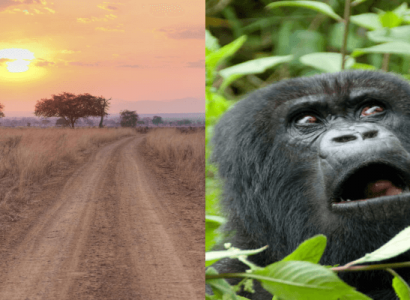 Flight deals from London, UK to both Tanzania and Rwanda | Secret Flying