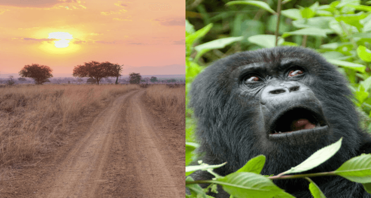 SUMMER 2 IN 1 TRIP: London, UK to Tanzania & Rwanda for only £315 roundtrip