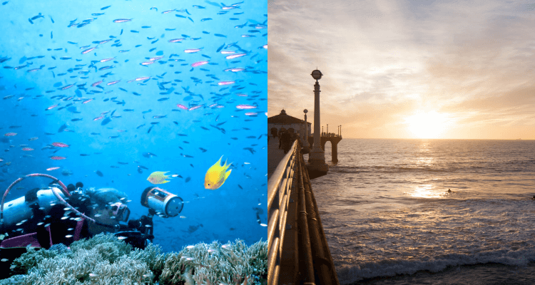 Flight deals from Brisbane, Sydney or Melbourne, Australia to Los Angeles, USA and Nadi, Fiji | Secret Flying
