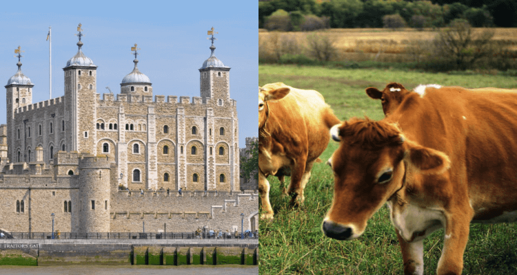 2 IN 1 TRIP: Calgary, Canada to London & Jersey, UK for only $567 CAD roundtrip