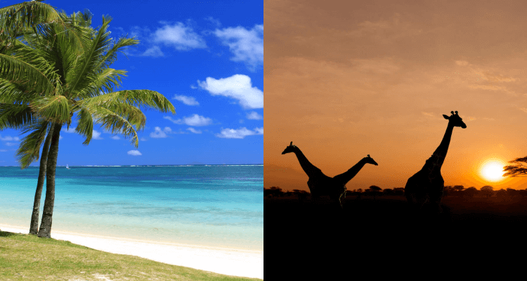 2 IN 1 TRIP: Mumbai, India to Mauritius & Kenya for only $484 USD roundtrip
