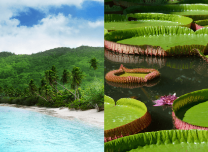Flight deals from Dusseldorf or Berlin, Germany to the Seychelles and Mauritius | Secret Flying