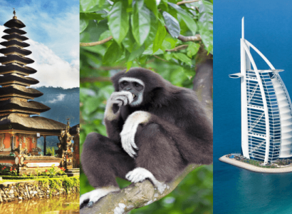 Flight deals from London, UK to Bali, Brunei and Dubai | Secret Flying