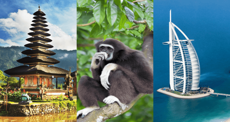 3 IN 1 TRIP: London, UK to Bali, Brunei & Dubai for only £495 roundtrip