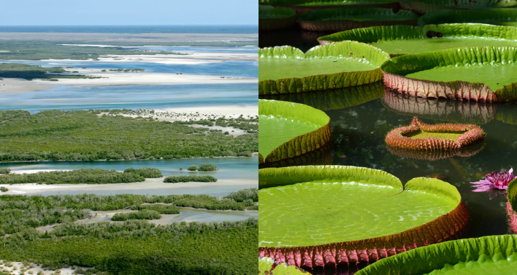 Kuala Lumpur, Malaysia to Mozambique for only $606 USD roundtrip (add a stop in Mauritius for $67 USD more)