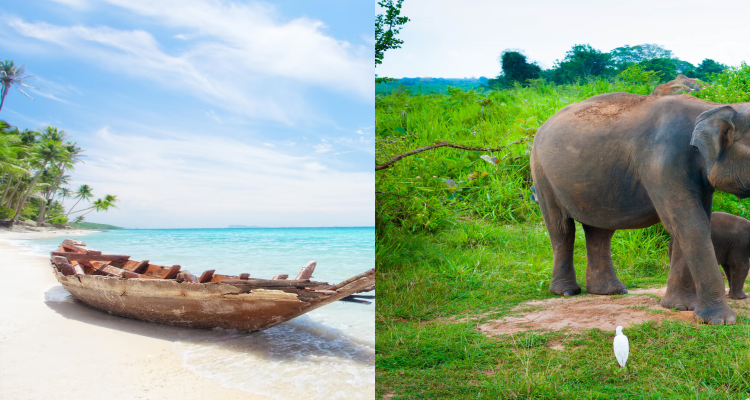 2 IN 1 TRIP: London, UK to the Maldives & Sri Lanka for only £484 roundtrip