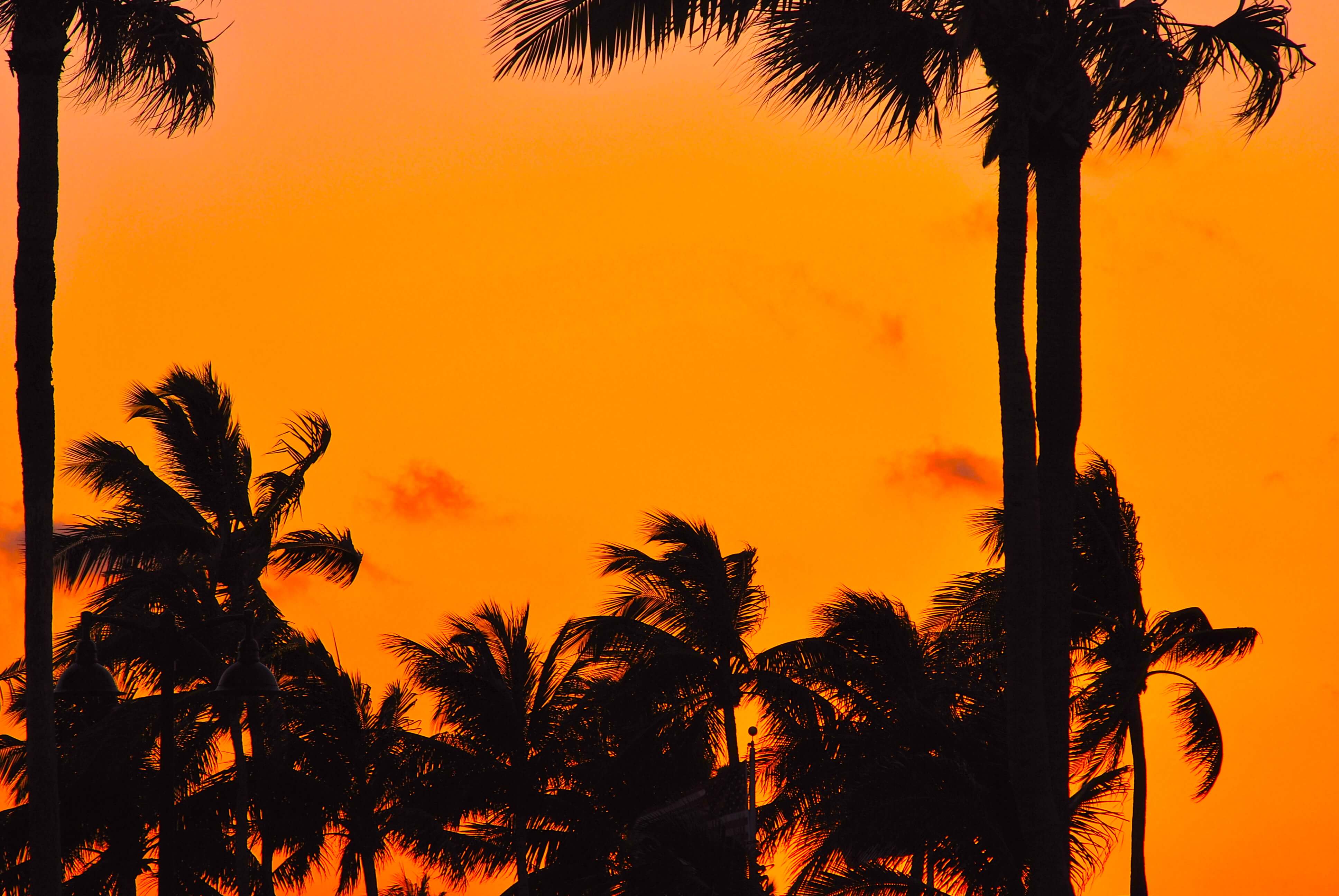 Non-stop from Austin, Texas to Fort Lauderdale (& vice versa) for only $110 roundtrip
