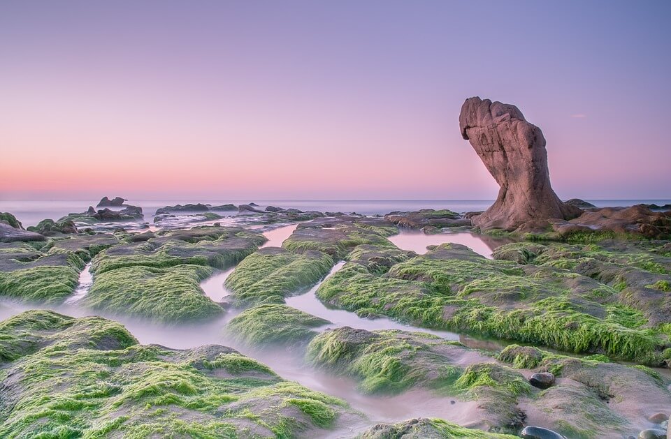 Seoul, South Korea to Ho Chi Minh City, Vietnam for only $167 USD roundtrip