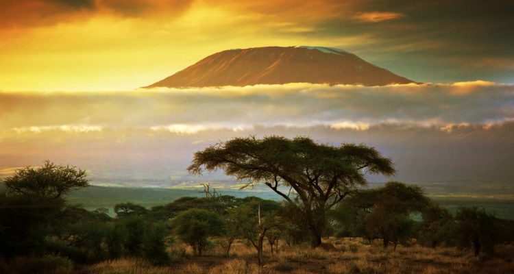 Flight deals from Washington DC to Kilimanjaro, Tanzania | Secret Flying
