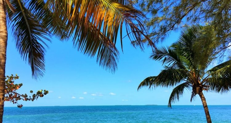 Flight deals from Washington DC to West Palm Beach, Florida | Secret Flying