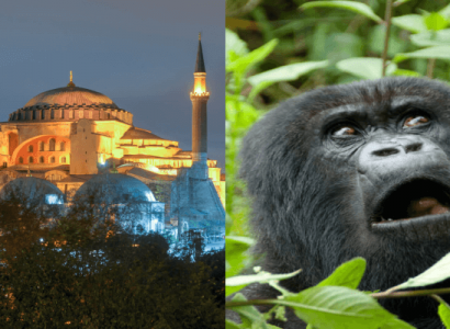 Flight deals from many UK cities to Istanbul, Turkey and Kigali, Rwanda | Secret Flying