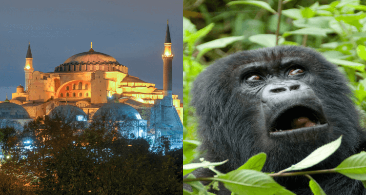 Flight deals from many UK cities to Istanbul, Turkey and Kigali, Rwanda | Secret Flying