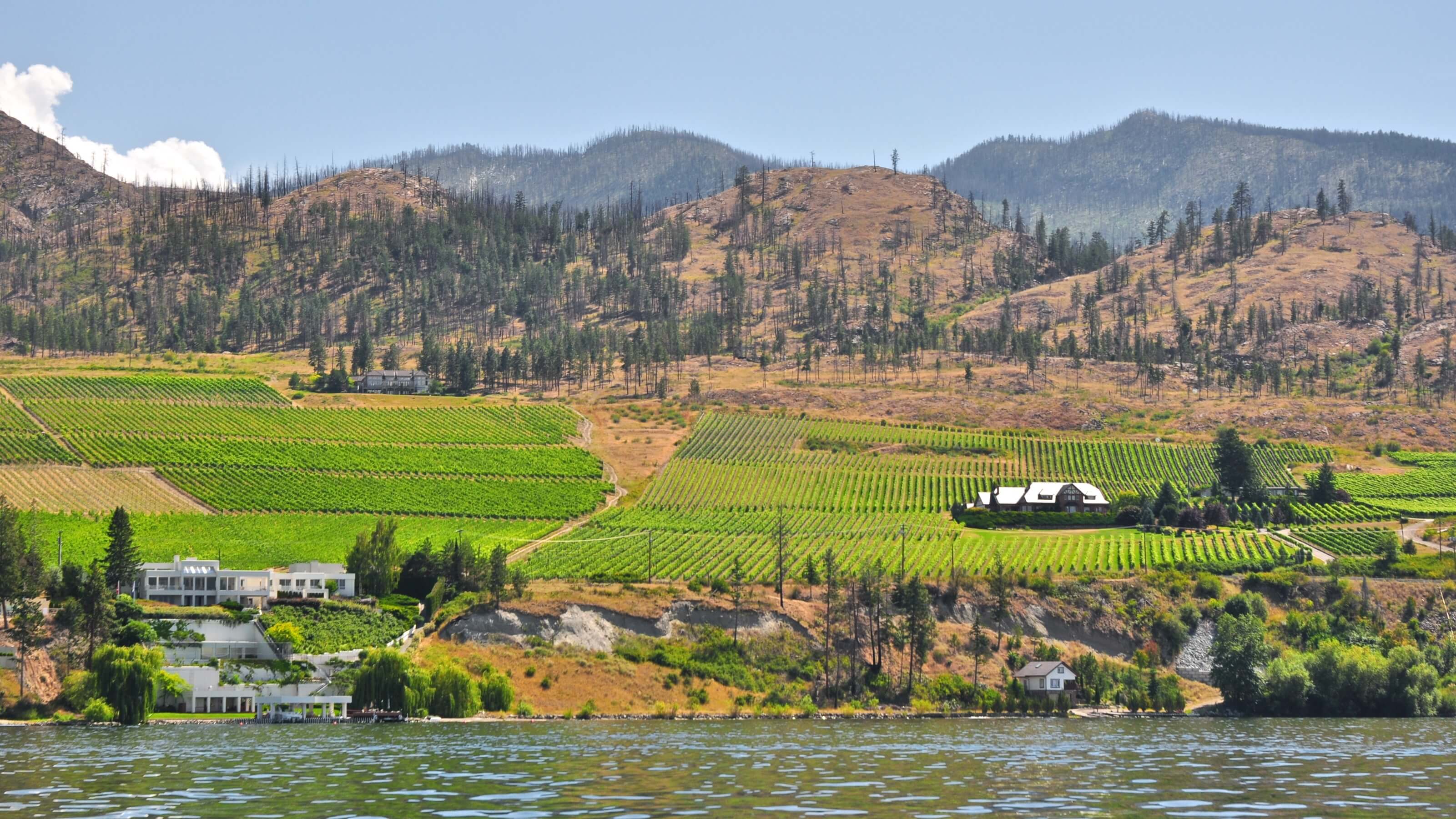 SUMMER: Vancouver, Canada to Kelowna (& vice versa) for only $77 CAD roundtrip