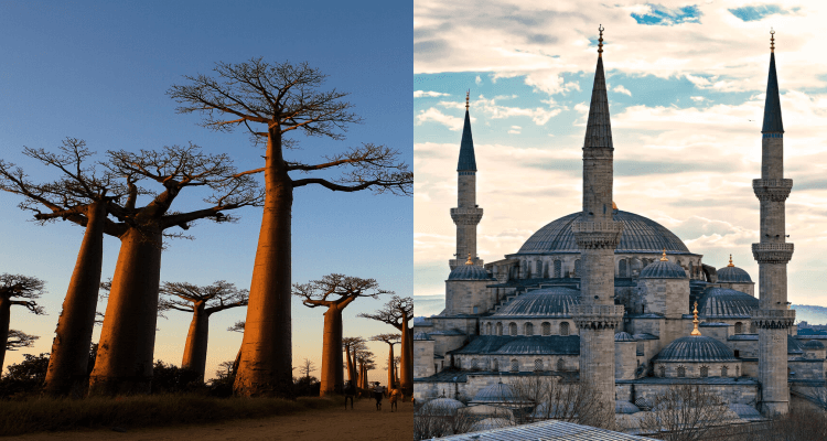 New York or Chicago to Madagascar for only $812 roundtrip (add a stop in Turkey for $36 more)