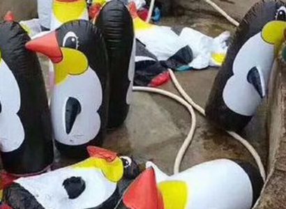 Chinese zoo visitors left disappointed by inflatable penguins | Secret Flying