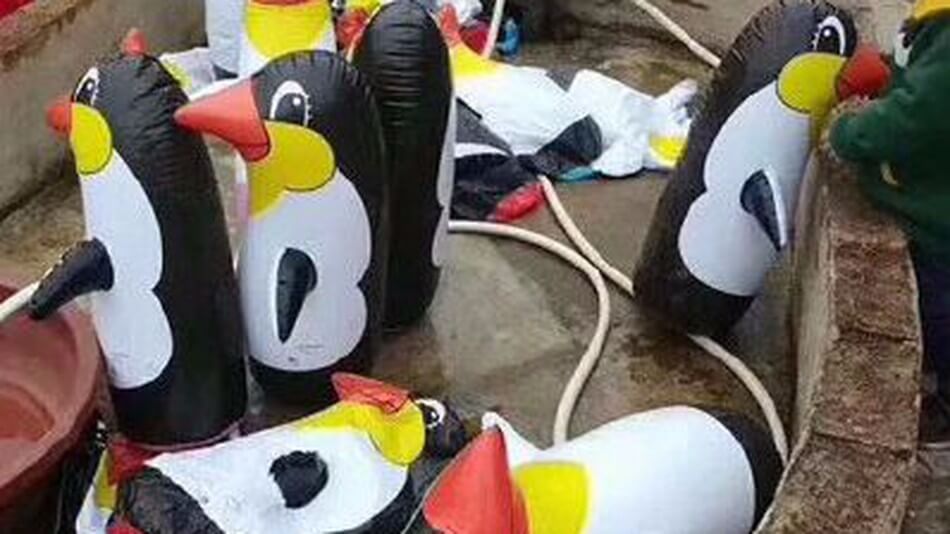 Chinese zoo visitors left disappointed by inflatable penguins