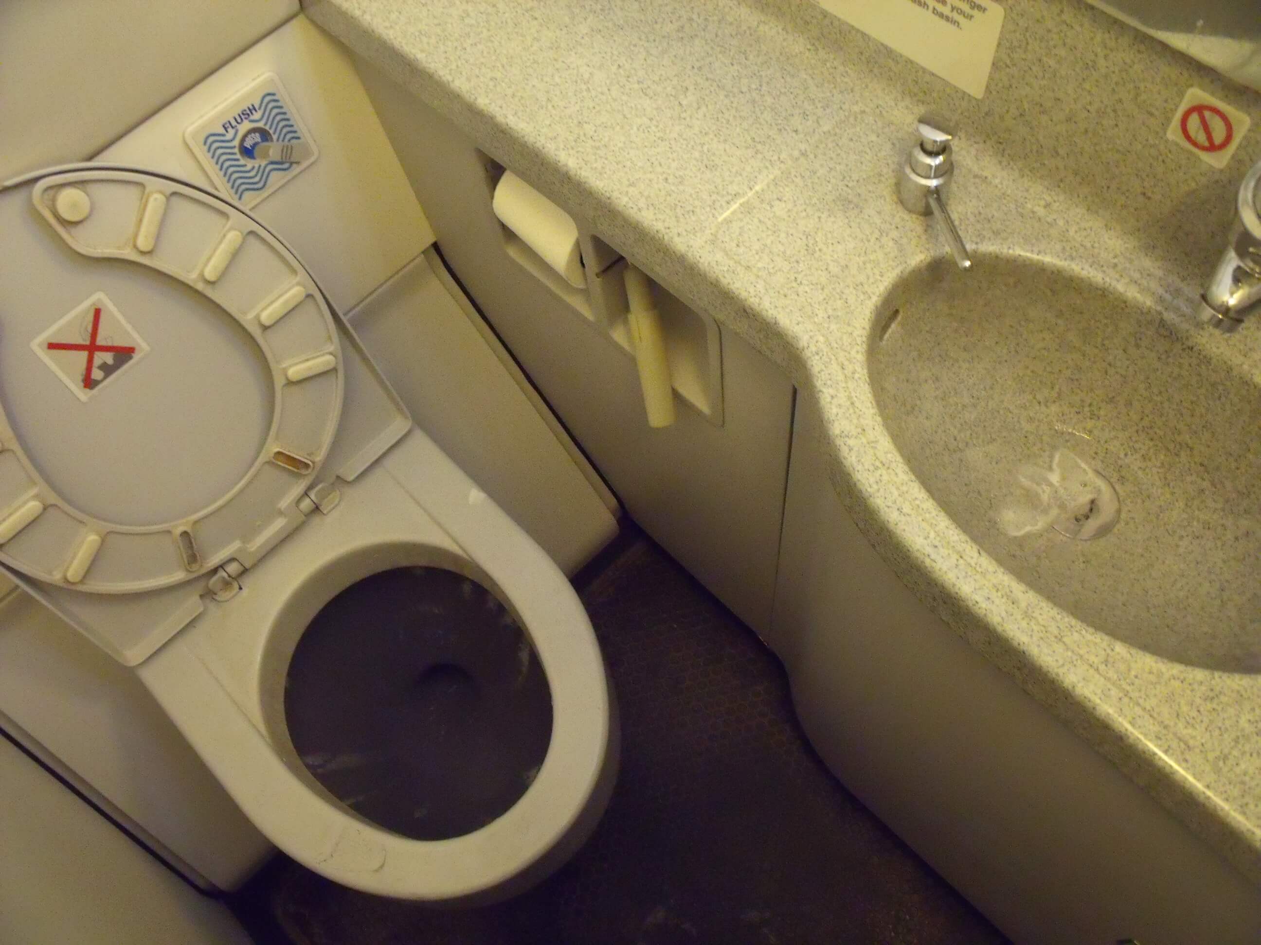 Delta flight makes emergency bathroom stop after toilets malfunction