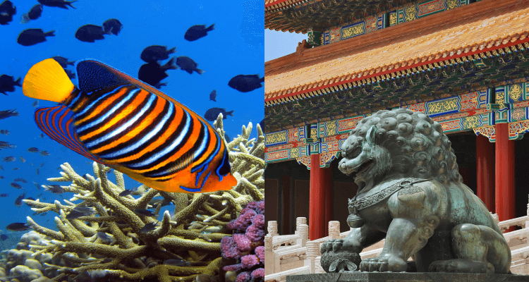 Prague, Czech Republic to Hawaii for only €561 roundtrip (add a stop in Beijing, China for €59 more)